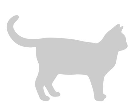 Placeholder image for Domestic Longhair