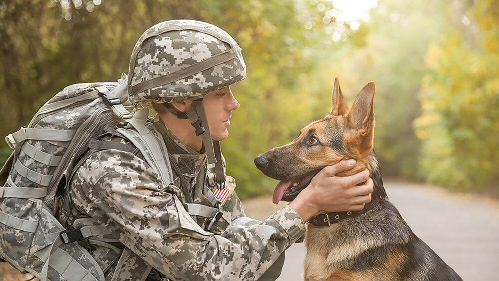 A soldier with his dog