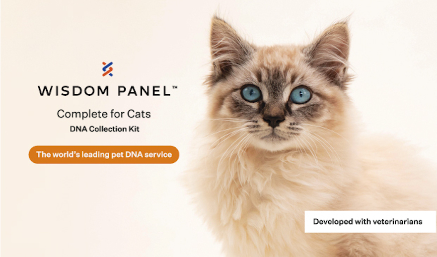 Wisdom Panel Complete for Cats