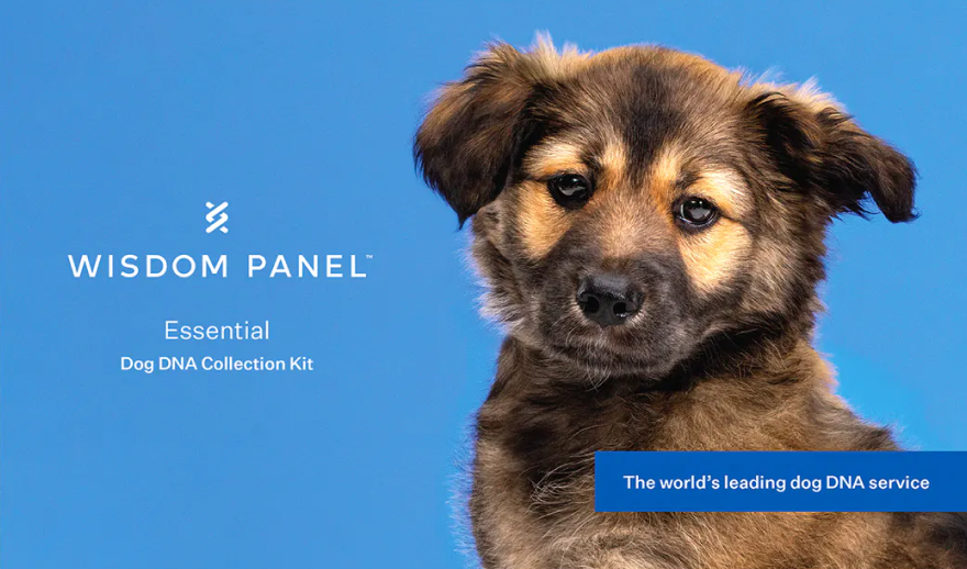 Wisdom Panel Essential