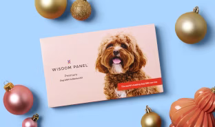 Wisdom Panel Premium dog DNA test collection kit