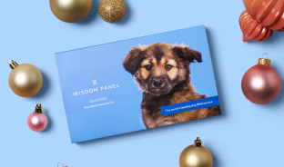 Wisdom Panel Essential dog DNA test collection kit