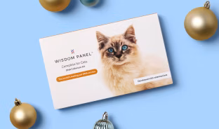 Wisdom Panel™ Complete for Cats DNA collection kit