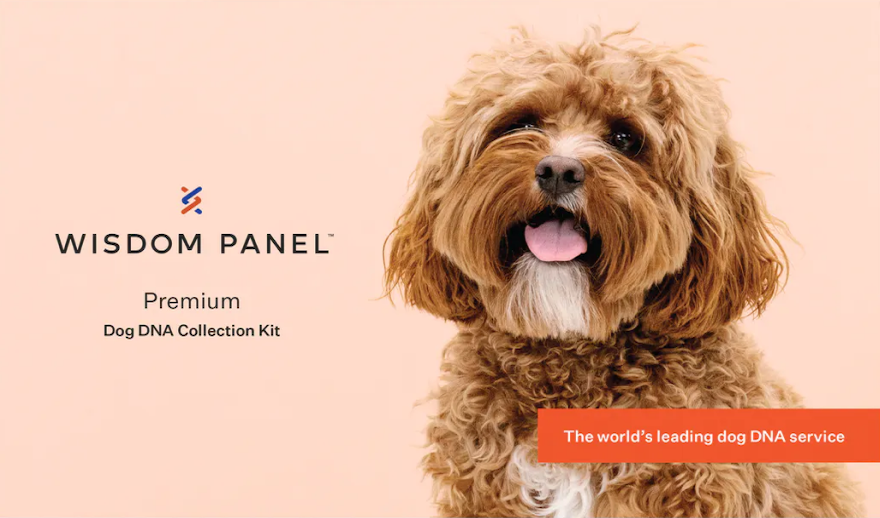 Wisdom Panel Premium